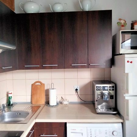 Cicha Kawalerka W Samym Centrum Ченстохова Экстерьер фото